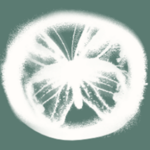 Profile photo of FoRest