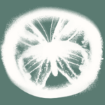 Profile photo of FoRest